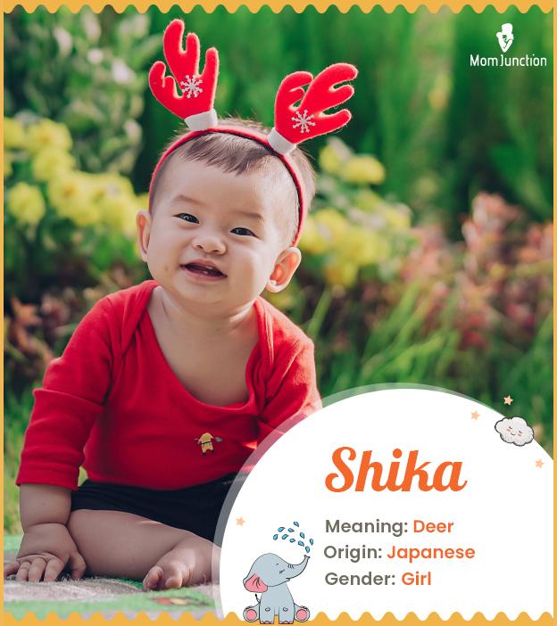 Shika means deer