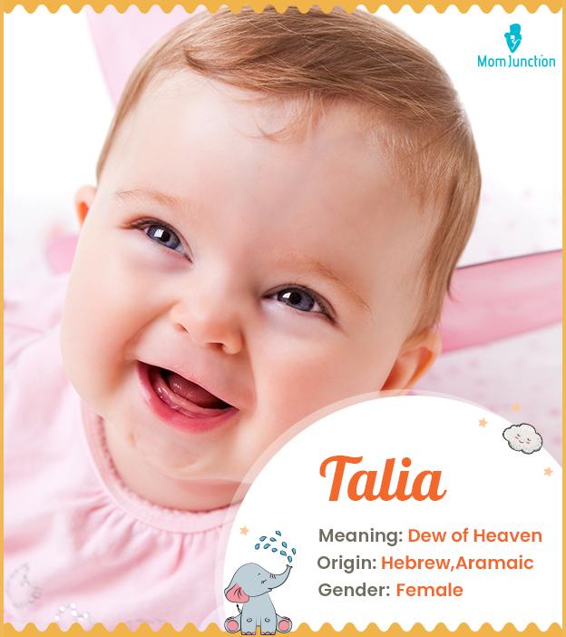 Talia, a Hebrew-Arom