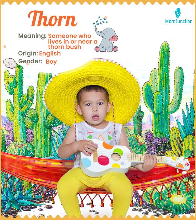 Thorn, refers to a p