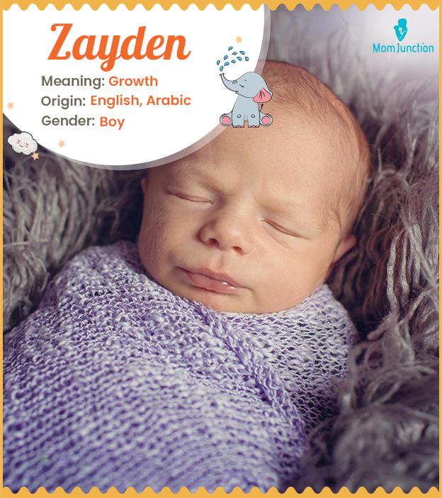 Zayden meaning growt