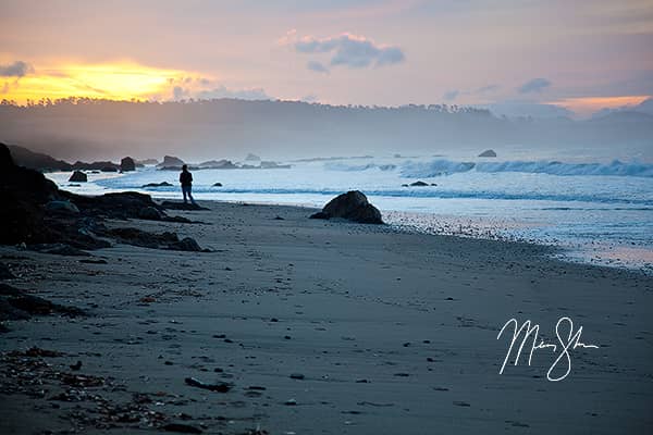 A Walk on the Beach