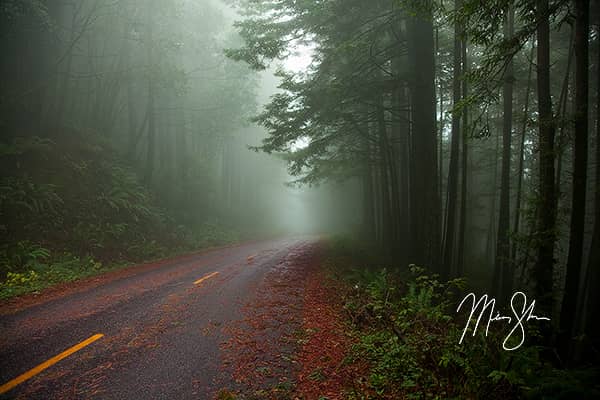 Road Of The Ancients