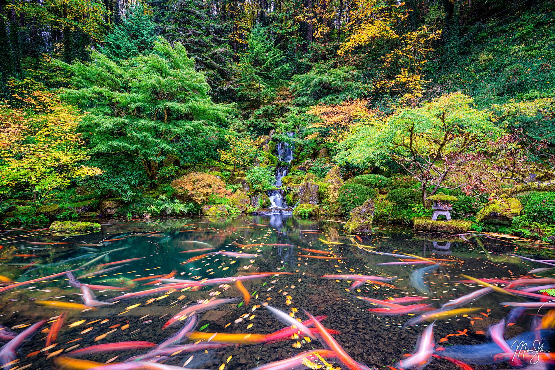 Waterfall Photography: Proxy Falls, Oregon in the Pacific Northwest