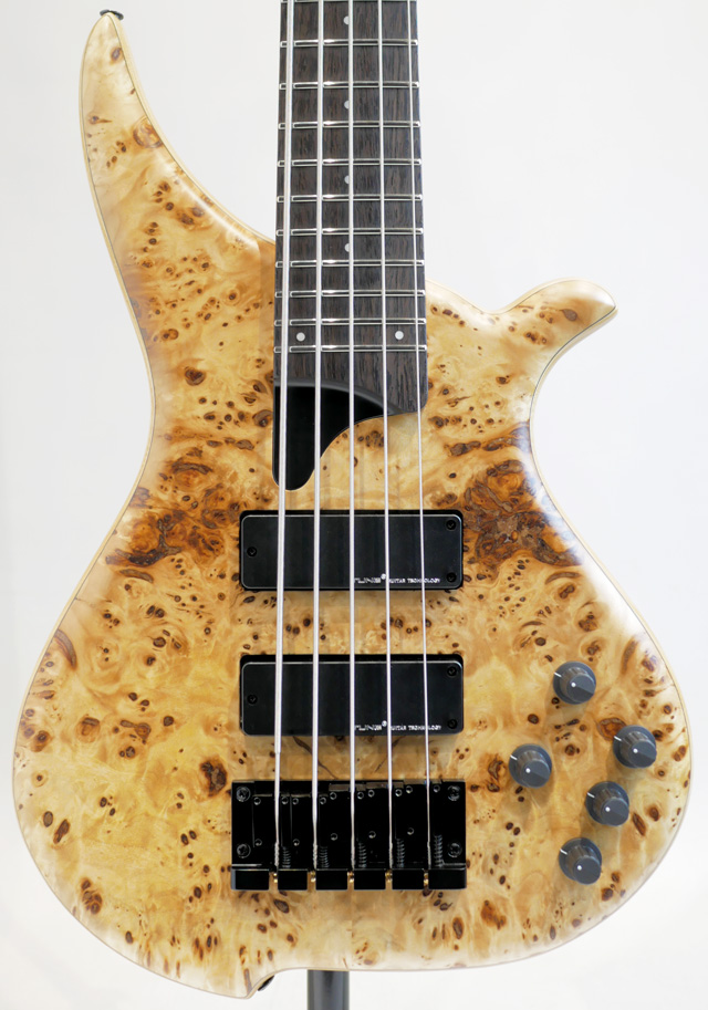 TWB-5 EX Burl Poplar/Ash