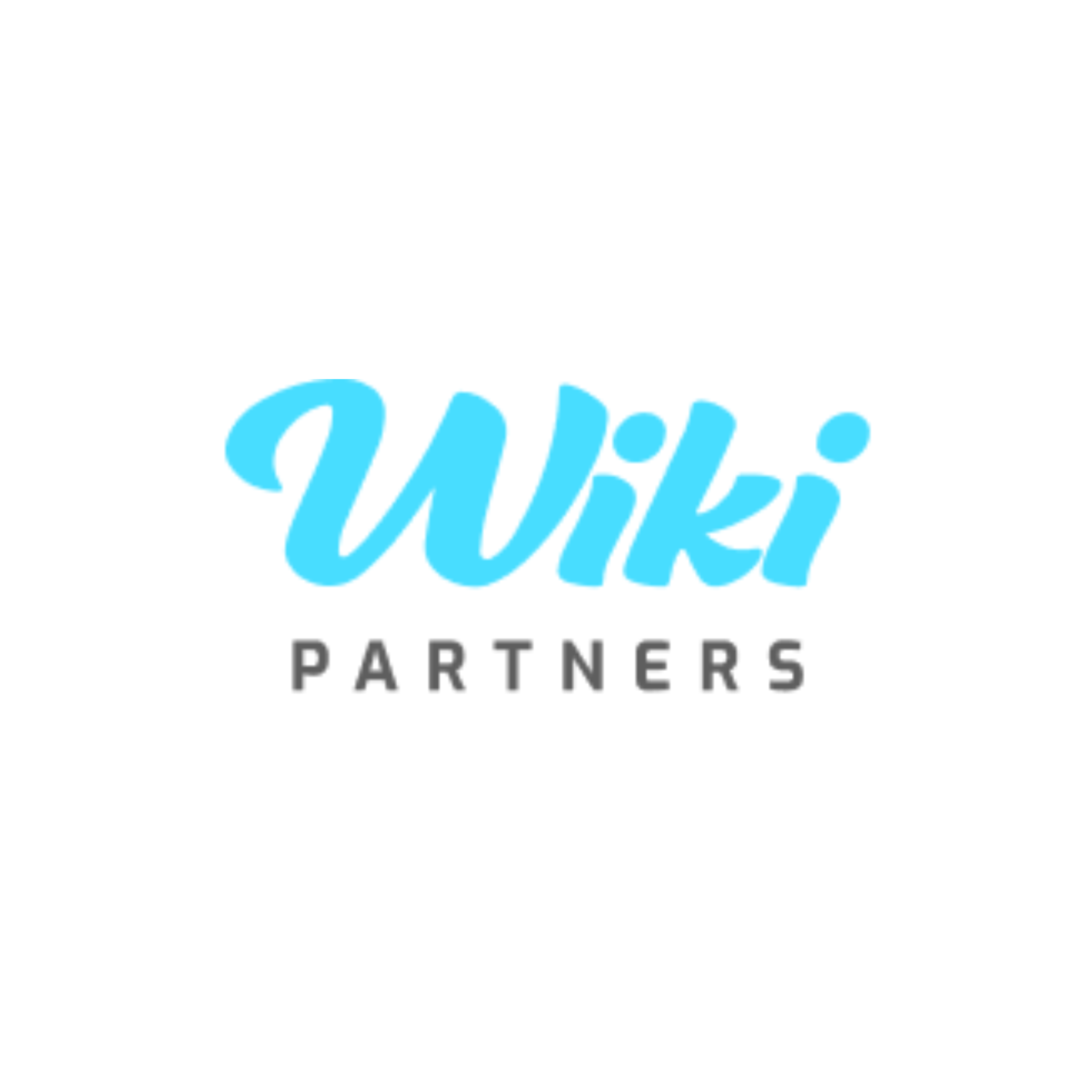 Wiki Partners