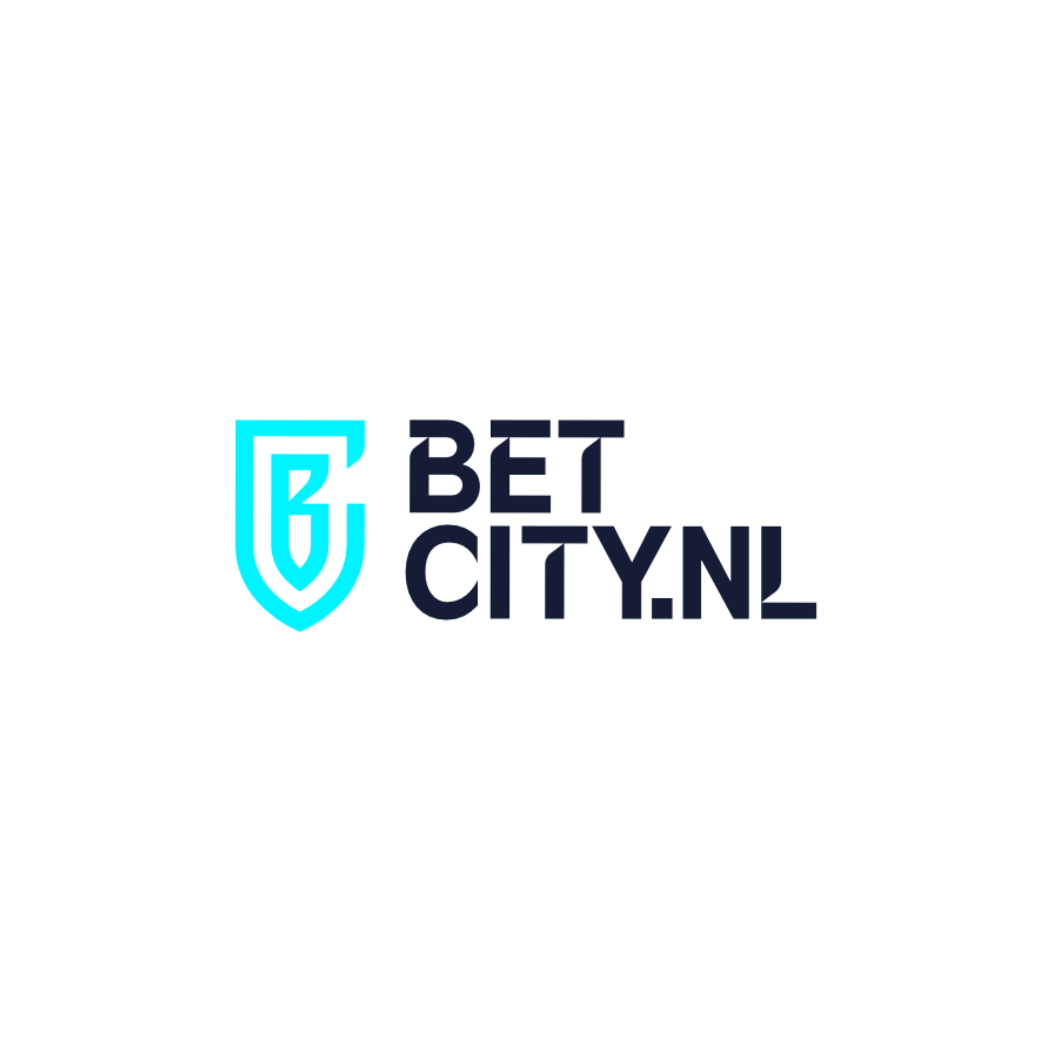 BetCity Partners