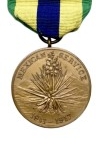 Mexican Service Medal