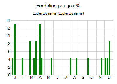 Euplectus nanus - ugentlig fordeling