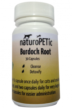 Burdock Root