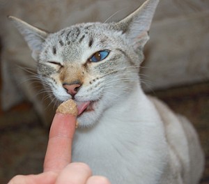 Finger-feeding