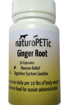 Ginger Root