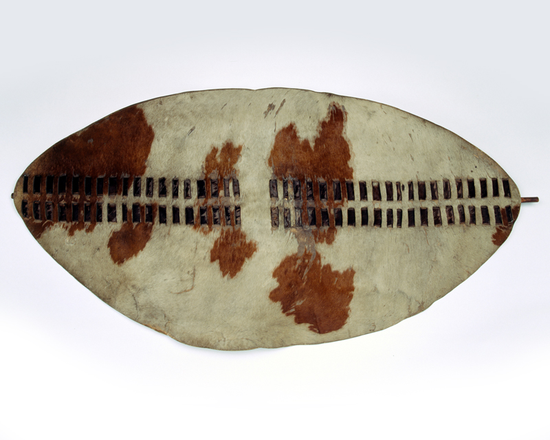 ‘Ishilunga' shield taken at the Battle of Ulundi, 4 July 1879