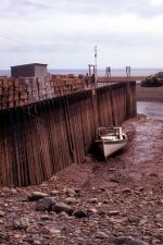 Bay of Fundy Low Tide.jpg