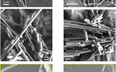 Grid of six B&W images of asbestos fibers taken by scanning electron microscopy