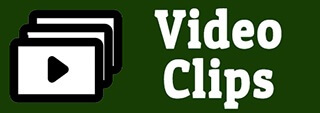 Video Clips