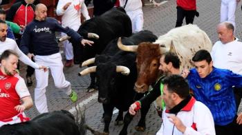 Las peñas y asociaciones han celebrado la decisión del Ayuntamiento de mantener dicho evento 