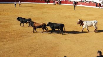 Dos actividades en las Fiestas Patronales Virgen del Consuelo