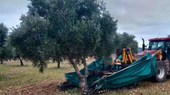 Una actividad para que los alumnos comprendan el valor del campo