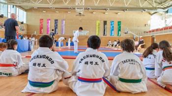 El taekwondo arrasa en Villanueva 