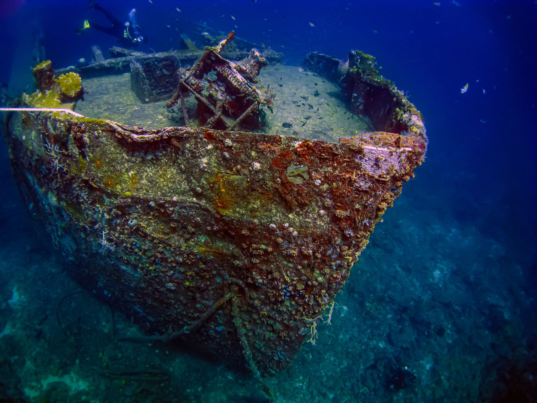 veronica shipwreck