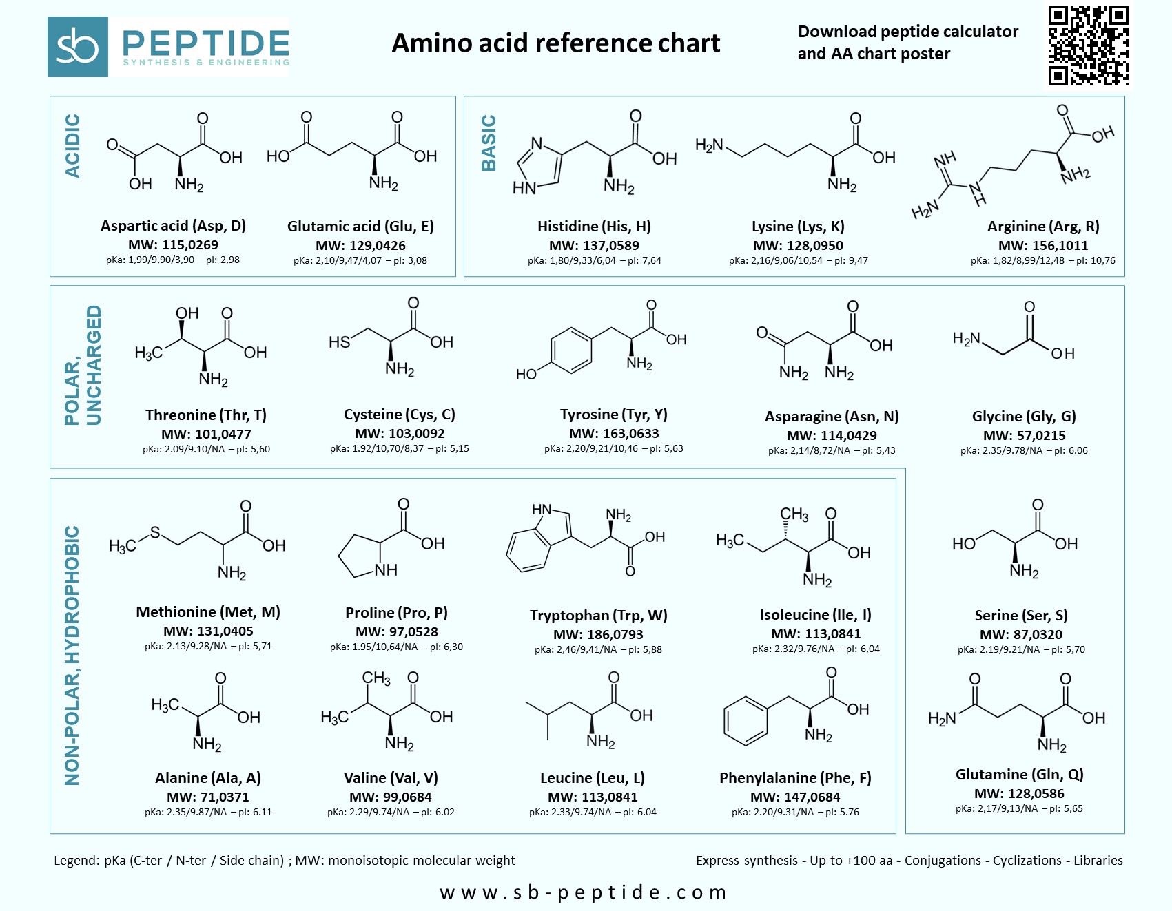 Printable Amino Acid Chart