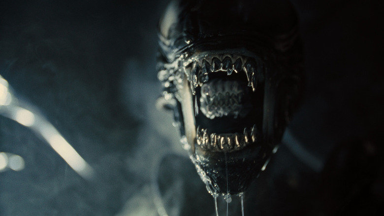 Alien: Romulus Xenomorph