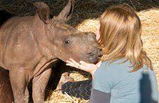 Fundimvelo Thula Thula Rhino Orphanage