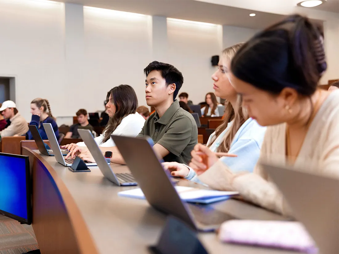 Students sitting at computers in classroom.