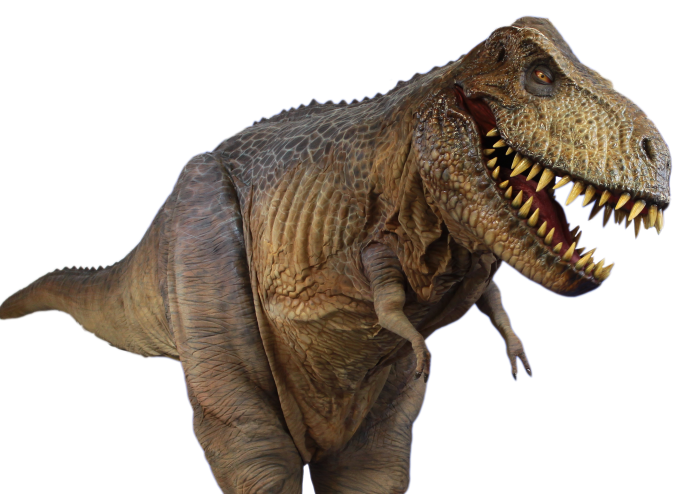 T Rex PNG Clipart