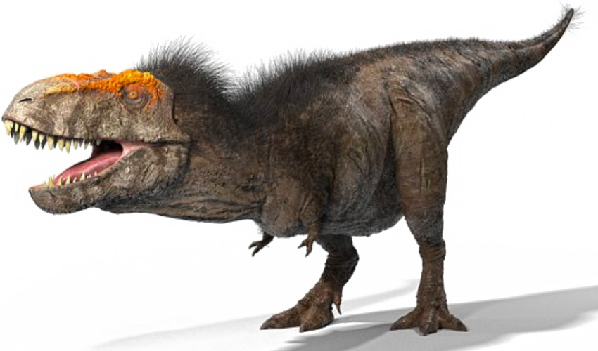 T Rex PNG Images