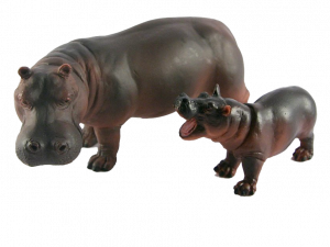 Hippo PNG Image