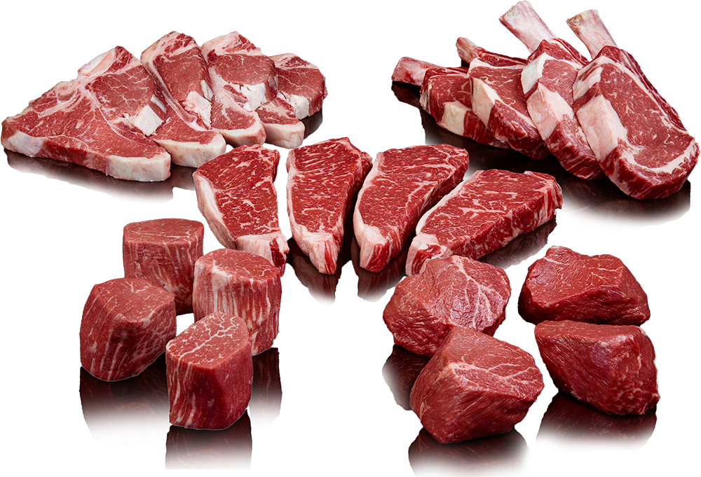 Fresh Meat Visuals, Photography, Stock PNG Image