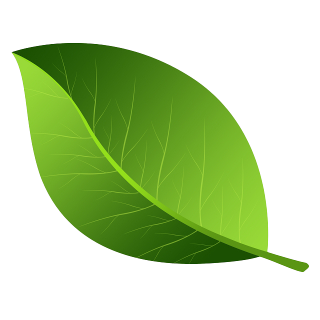 Leaf Cutout, Nature Element, Botanical Shape Transparent