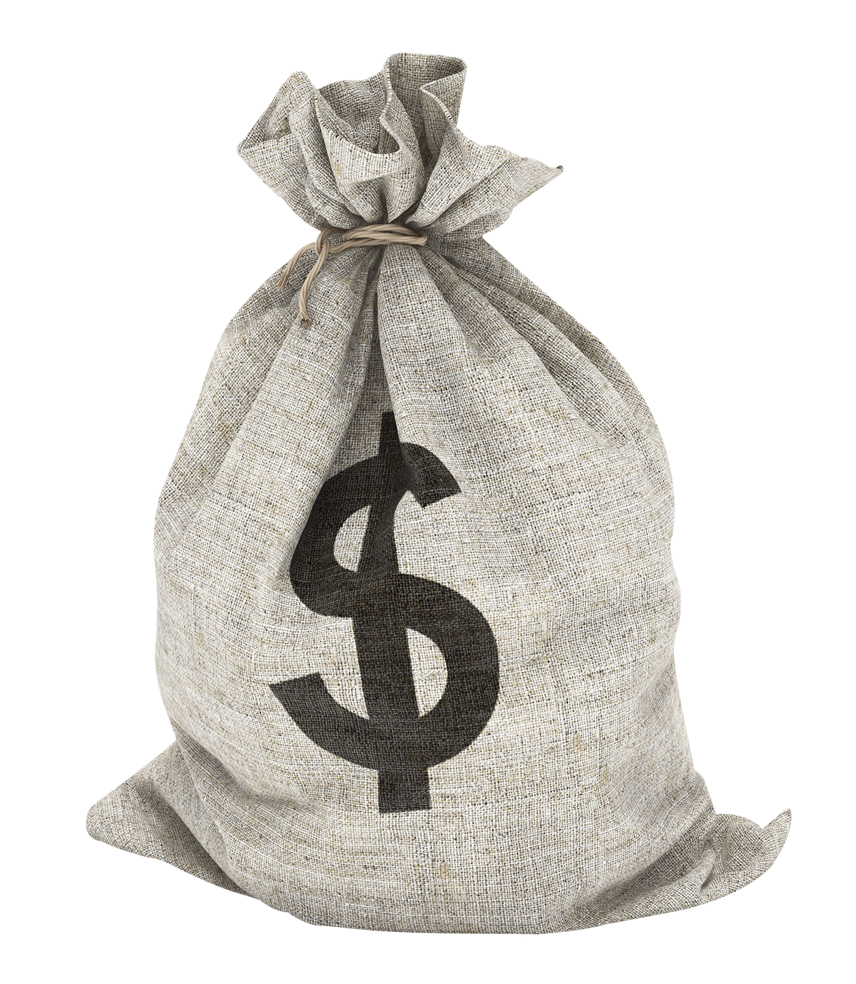 Money Bag, Cash Stack, Wealth Bundle PNG