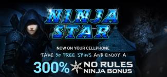 300% No Rules Bonus + 30 Free Spins @ 10 RTG Casinos August 2016