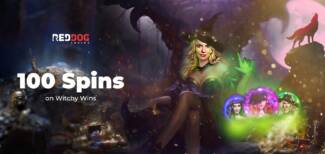 Red Dog Casino - Exclusive 100 Free Spins on Witchy Wins