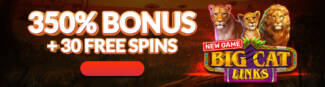 Velvet Spin Casino - 350% Deposit Bonus + 30 Free Spins on Big Cat Links