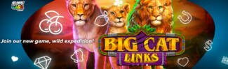 Sloto Cash Casino - Deposit $25 and Get 100 Free Spins on Big Cat Links