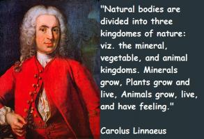 Carolus Linnaeus's quote