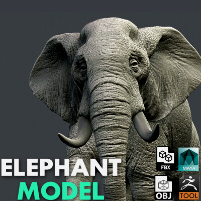 Elephant Model