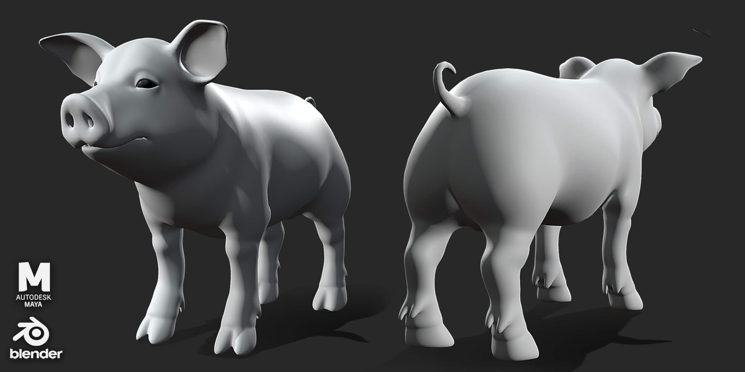 Piglet Baby Pig 3D Model