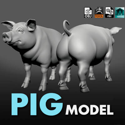 The Pig Sculpt 3D Model