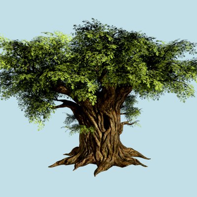 Oak Tree 3D Model