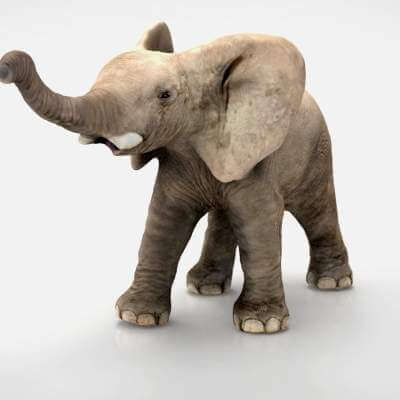 Elephant 3D Model