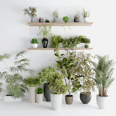 Interior Plants_Vol1