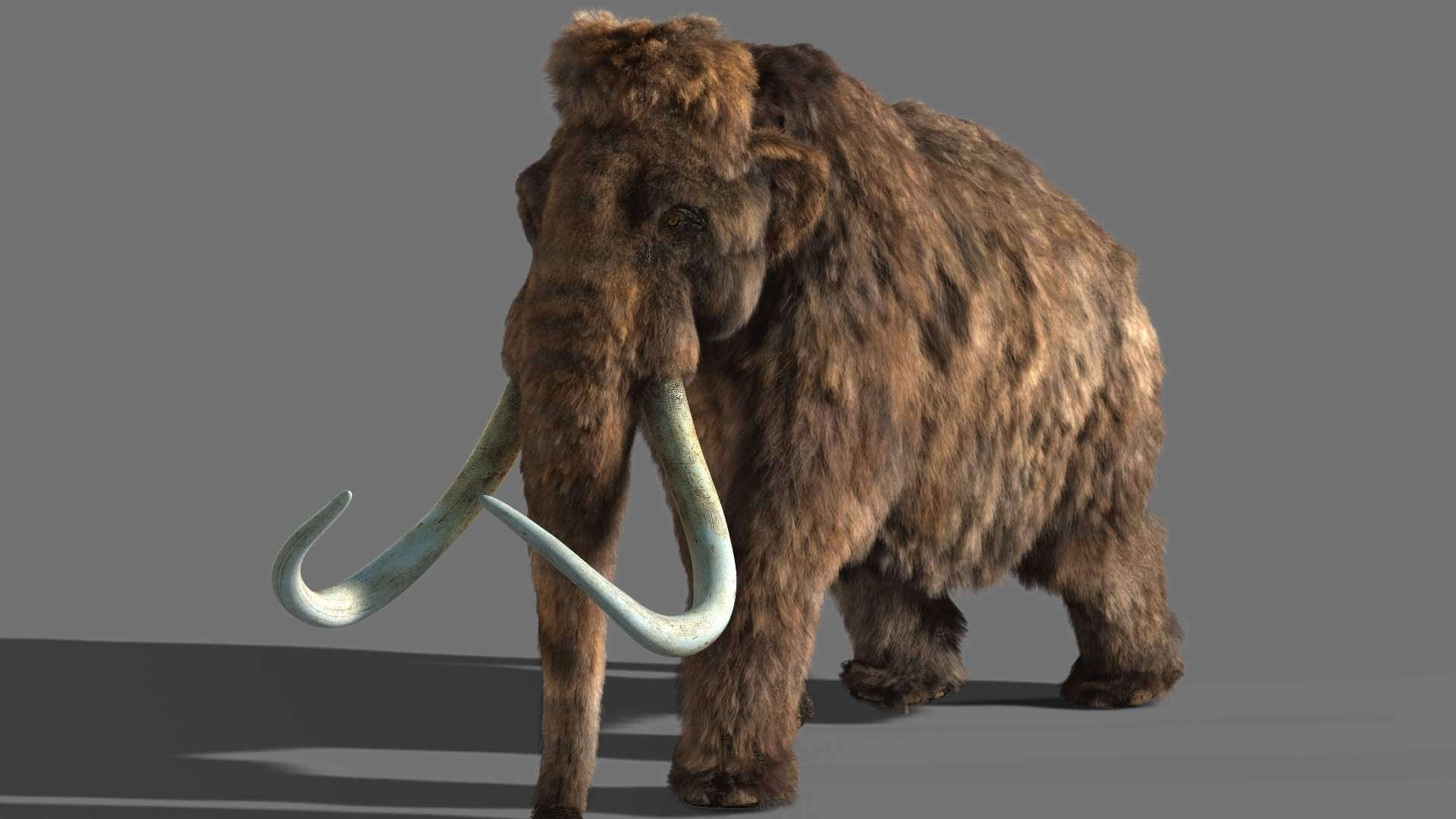 Mammoth 3D Model