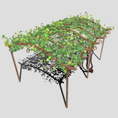 Vine Pergola 3D Model