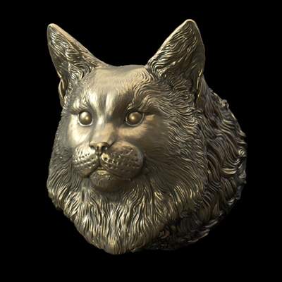 Maine Coon Head 3D Model