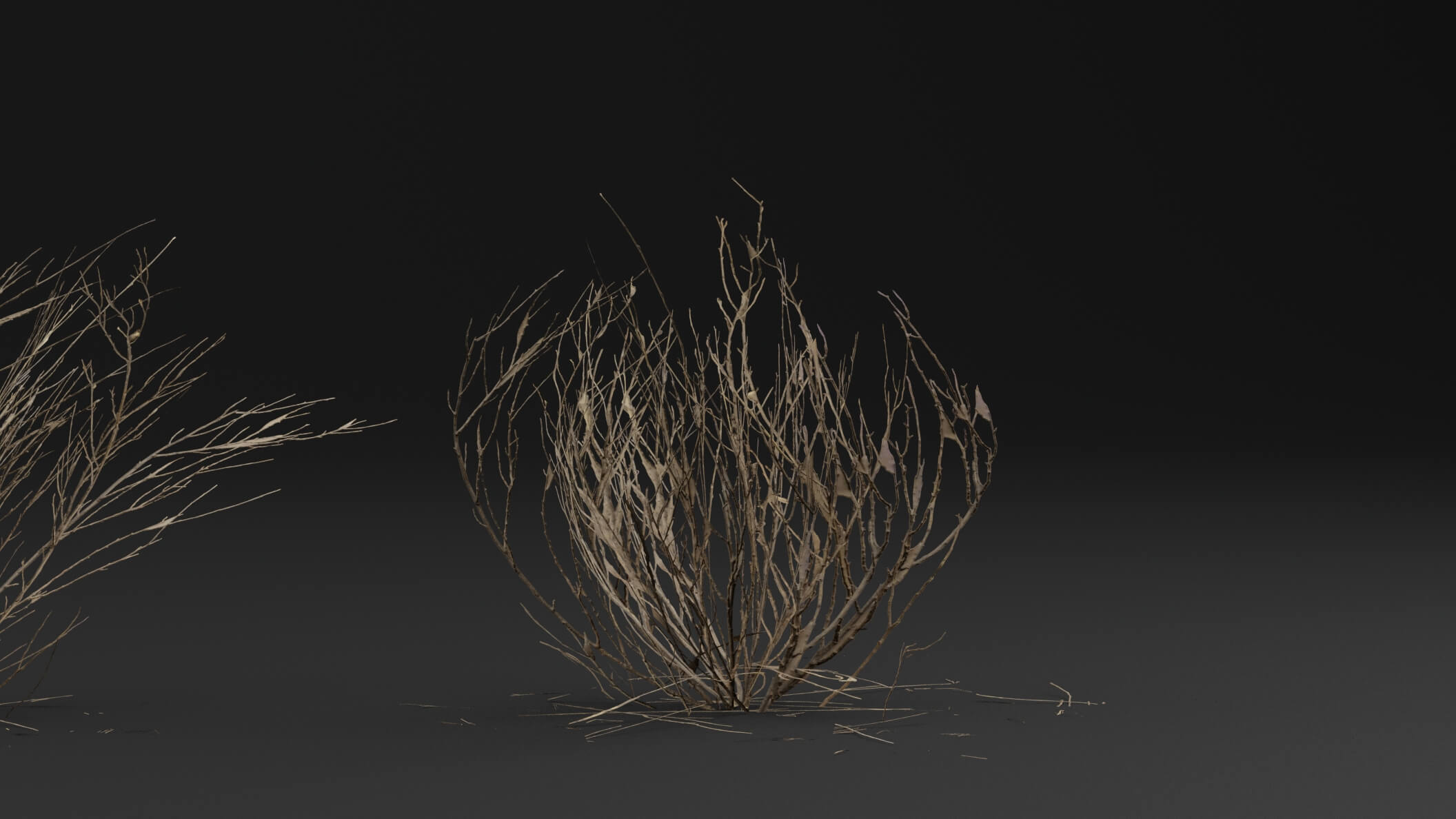 Dead Bush Plant 3D Model