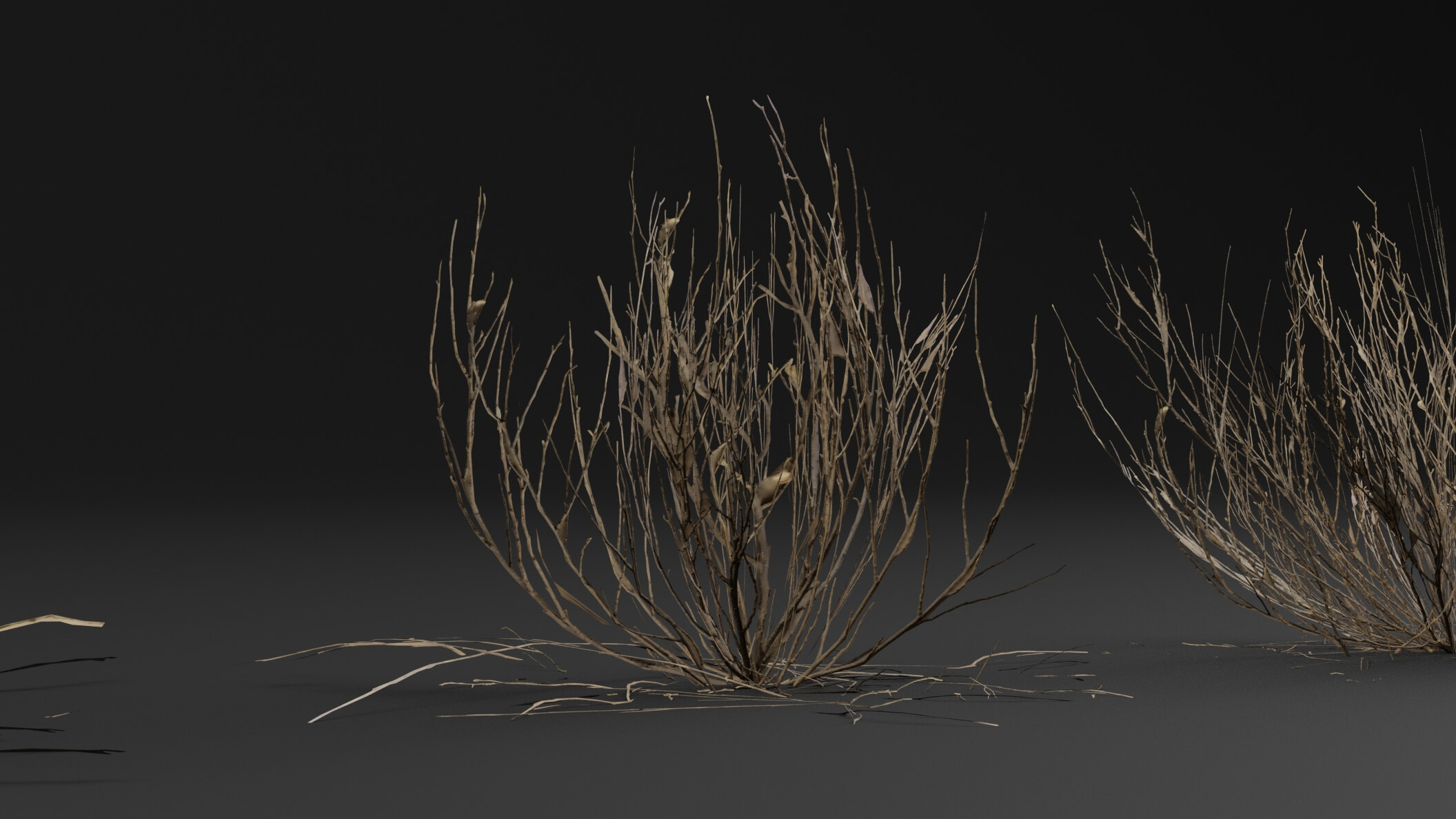 Dead Bush Plant 3D Model